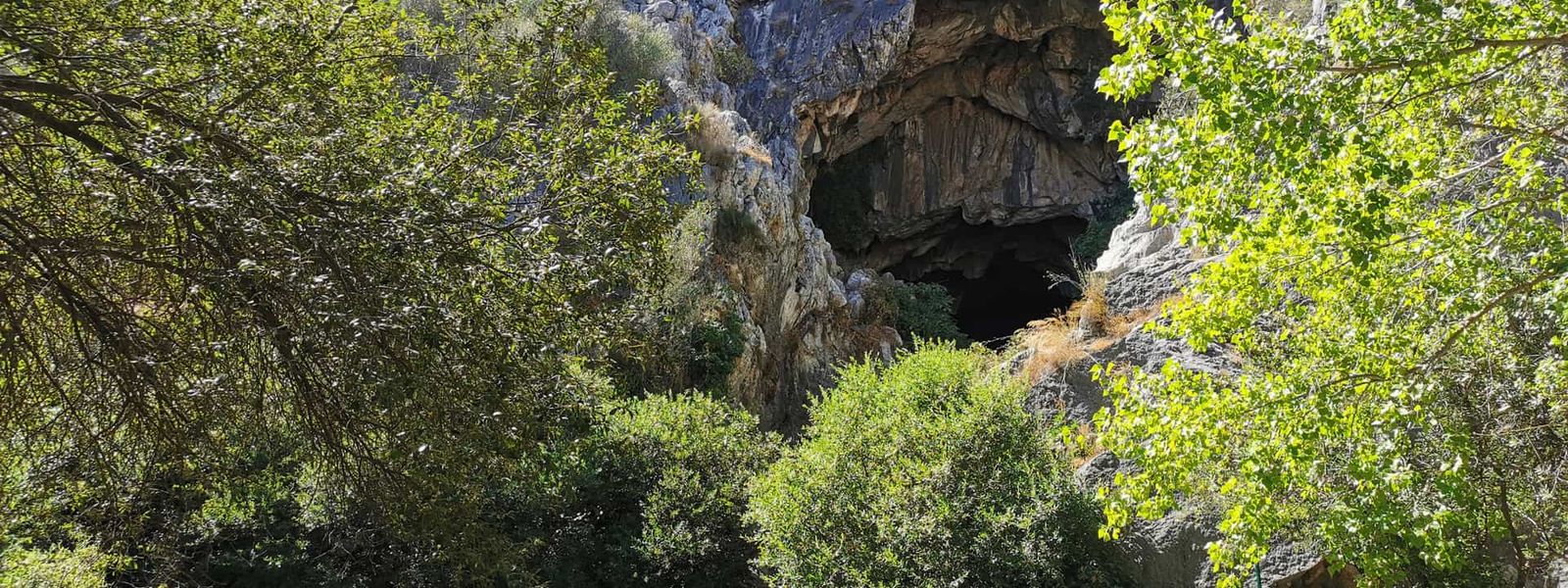 Cueva del Gato