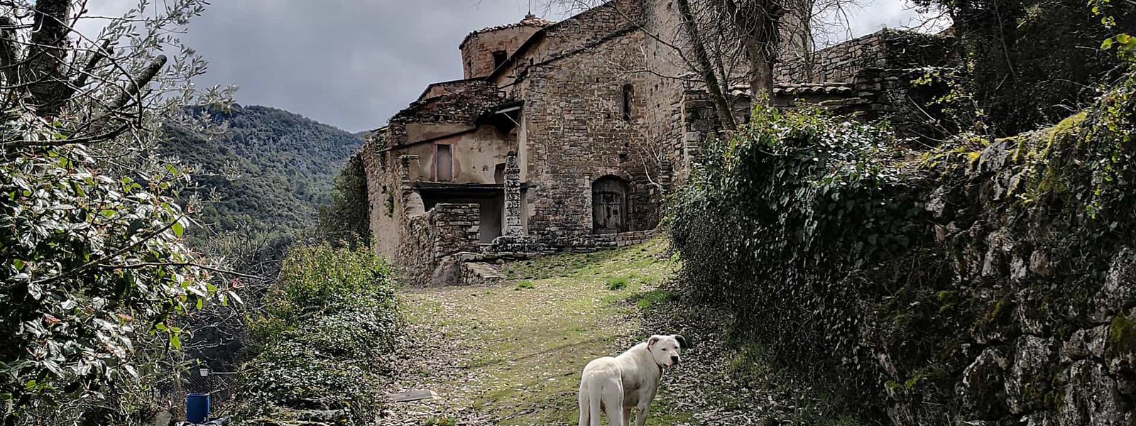 Trillo