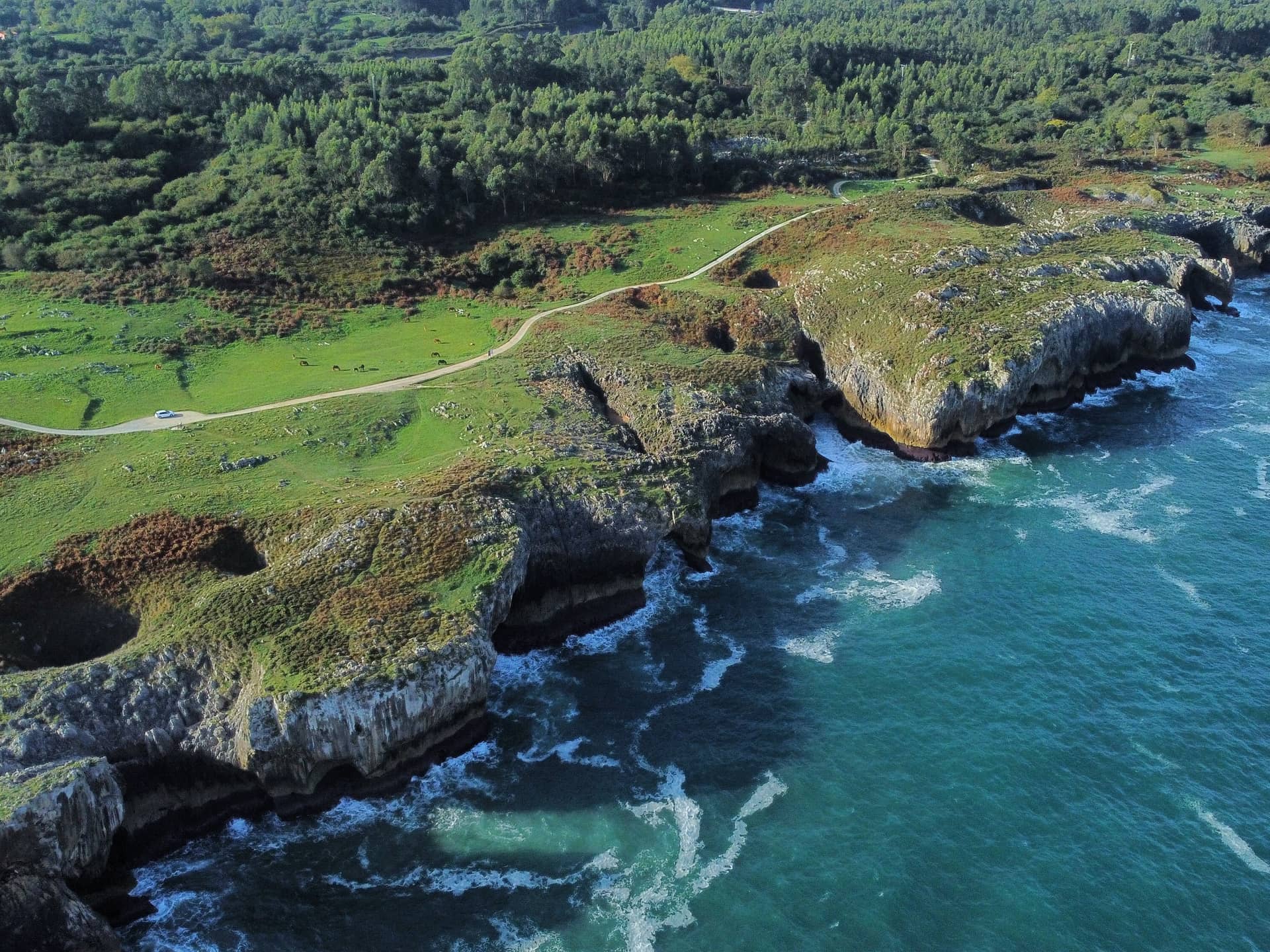 Буфонес-де-Аренильяс