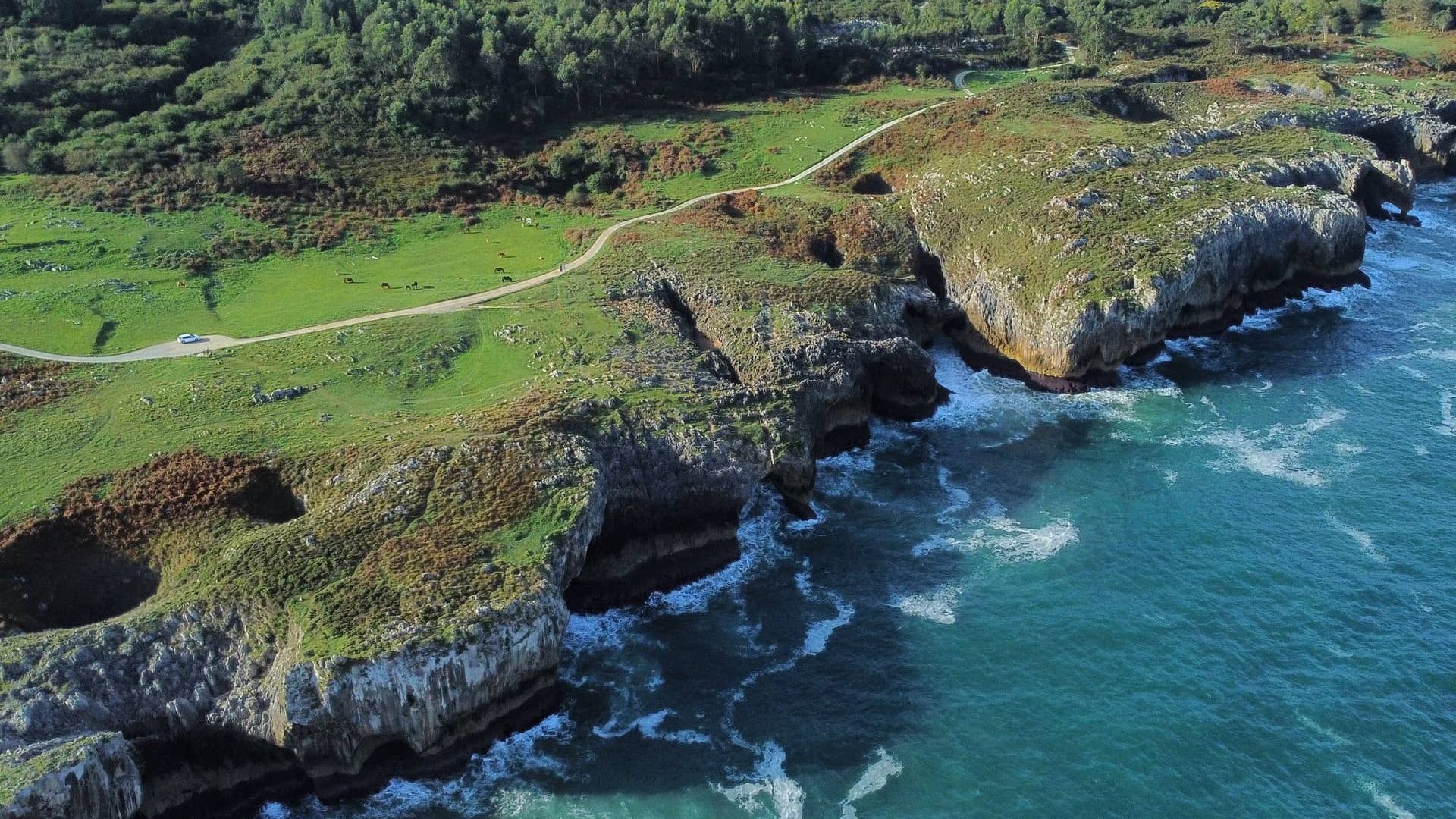 Буфонес-де-Аренільяс