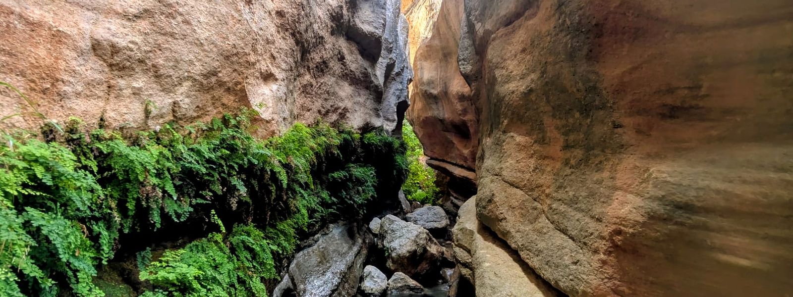 Barranco de la Luna Trail