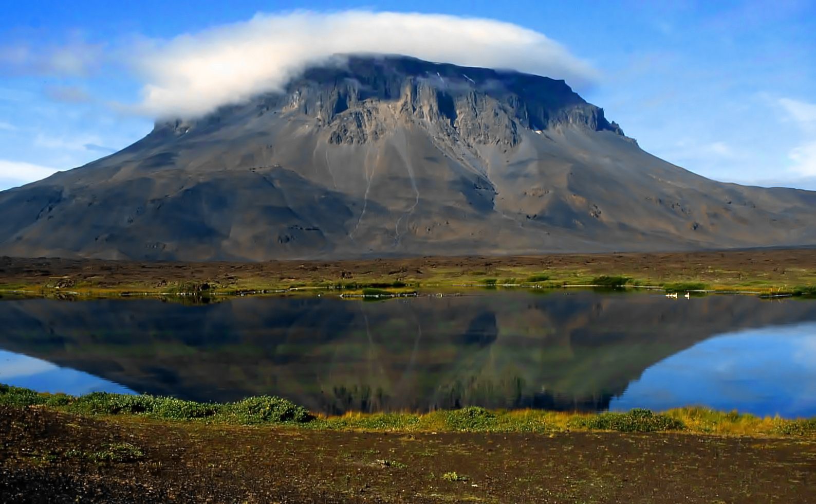 Herðubreið