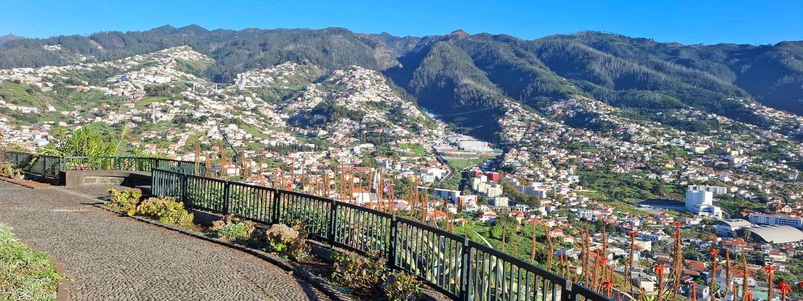 Pico dos Barcelos Viewpoint