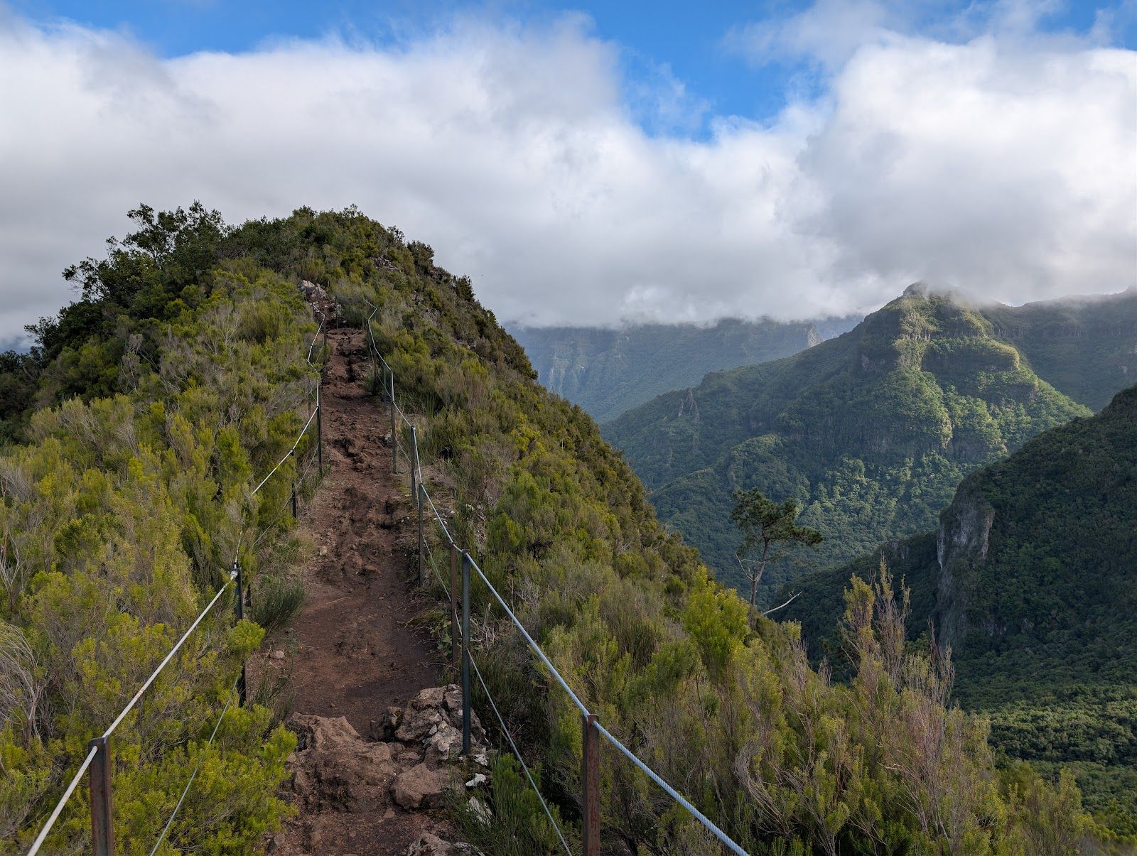 Pináculo & Folhadal Trail (PR17)