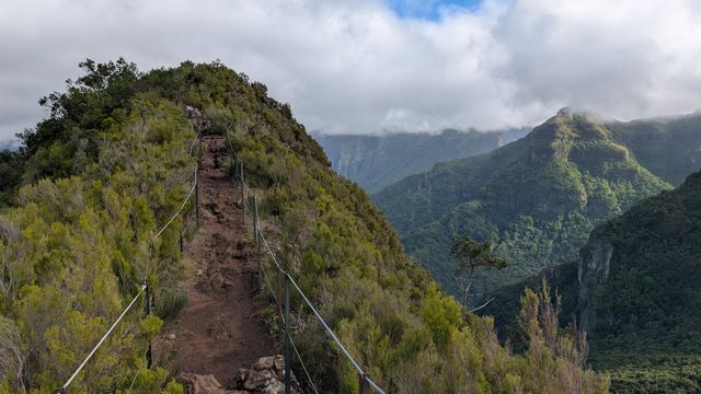 Pináculo & Folhadal Trail (PR17)