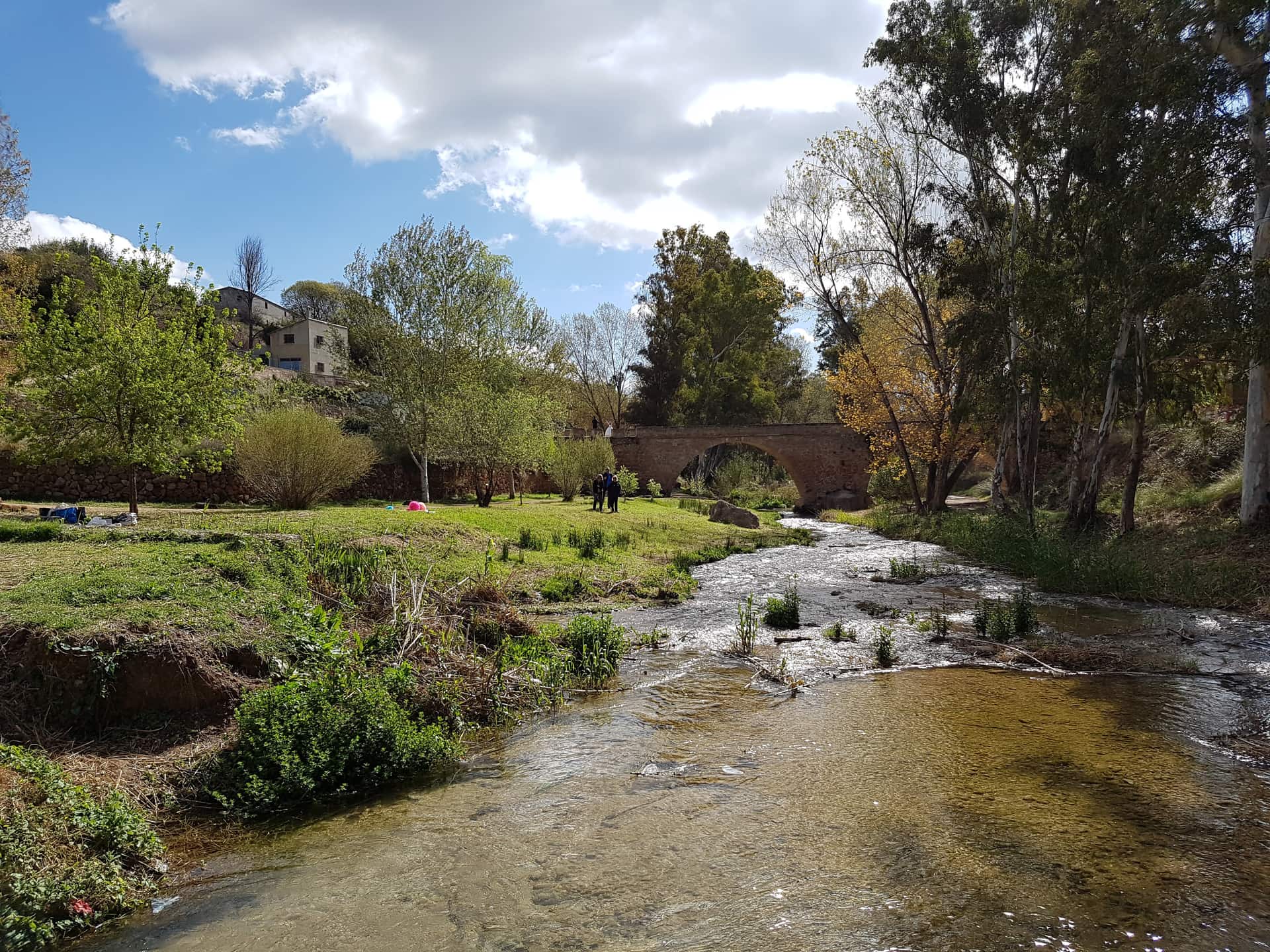 Плотина Олинчес