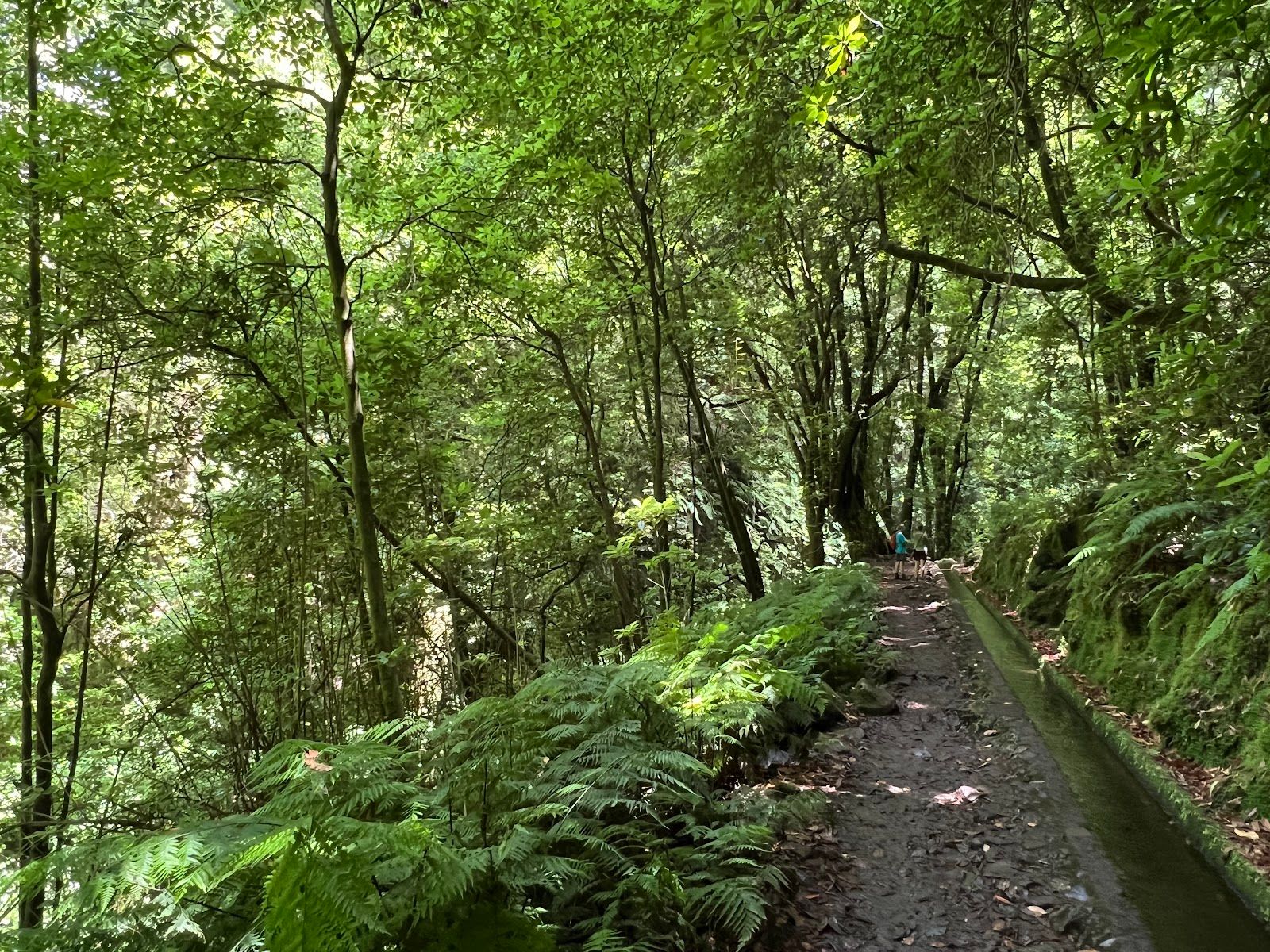 Levada do Rei (PR18)