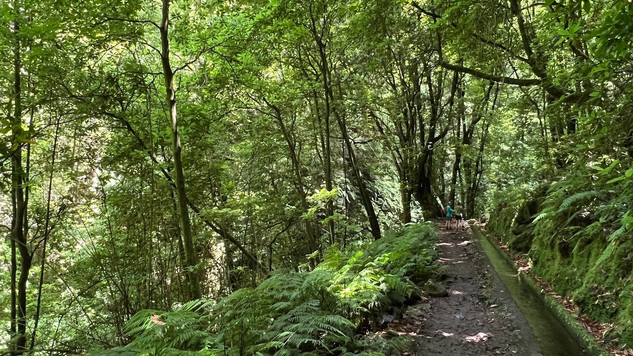 Levada do Rei (PR18)