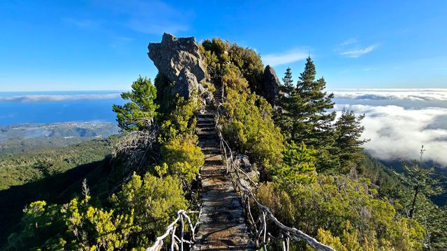 Pico Redondo Viewpoint