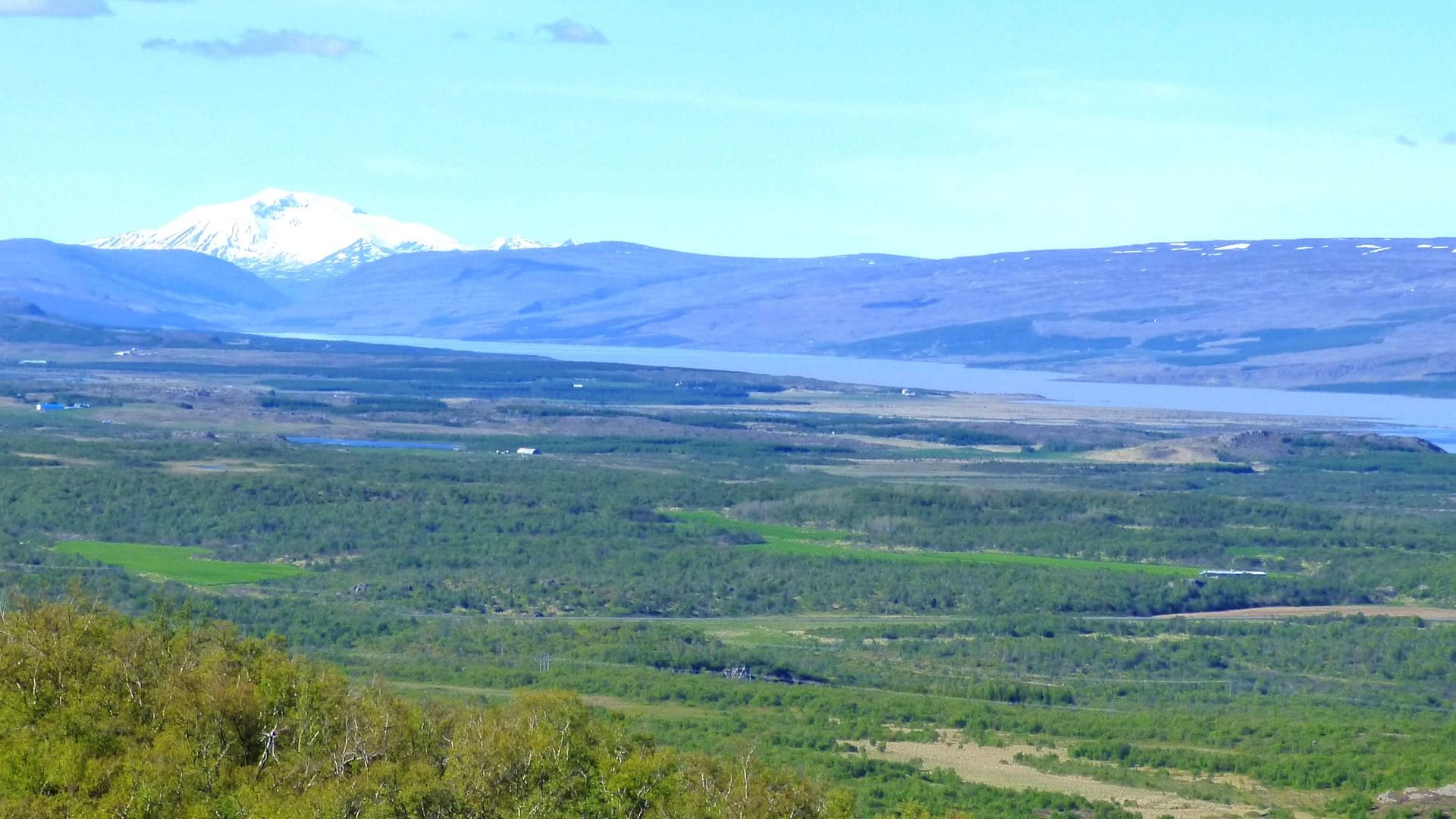 Хальтлормсстадарскоугюр