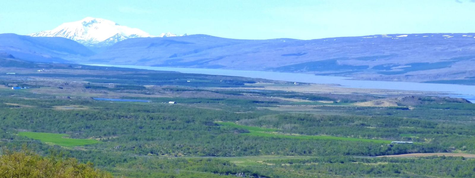 Hallormsstadur Forest