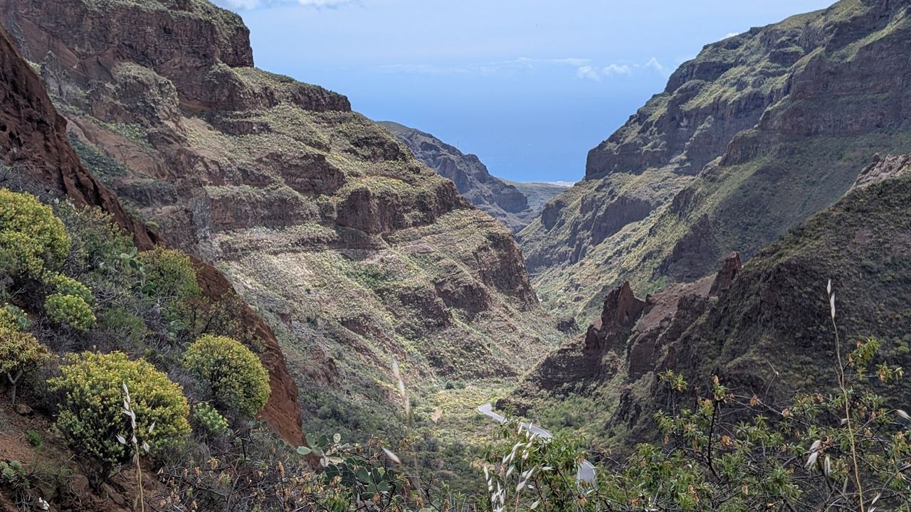 Barranco de Guayadeque