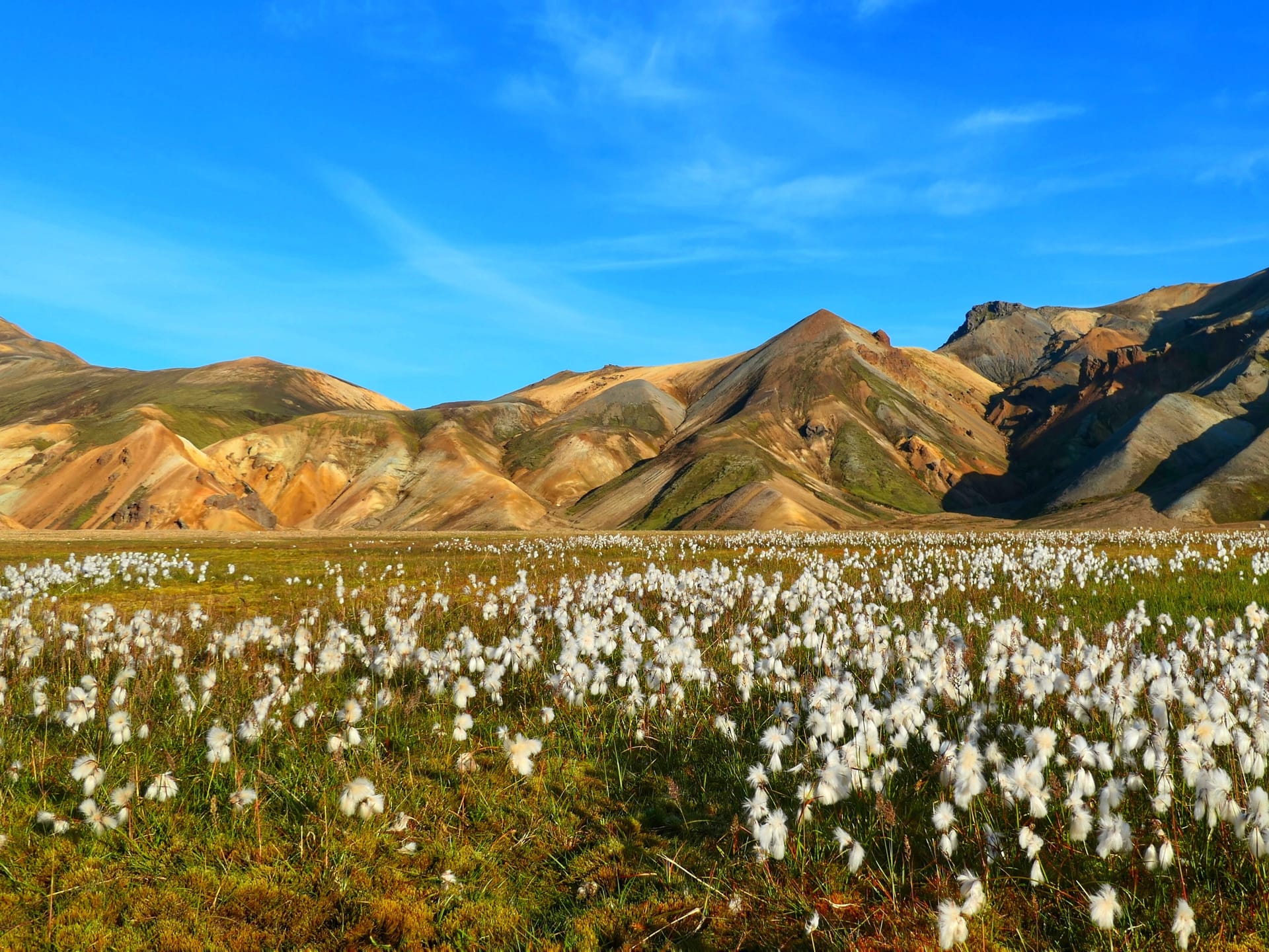 Геотермальная зона Ландманналёйгар