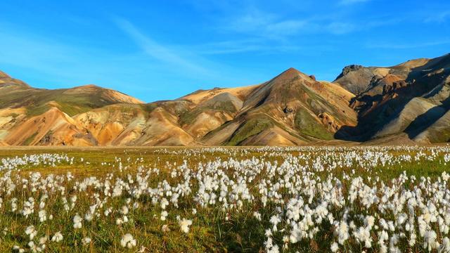 Геотермальная зона Ландманналёйгар