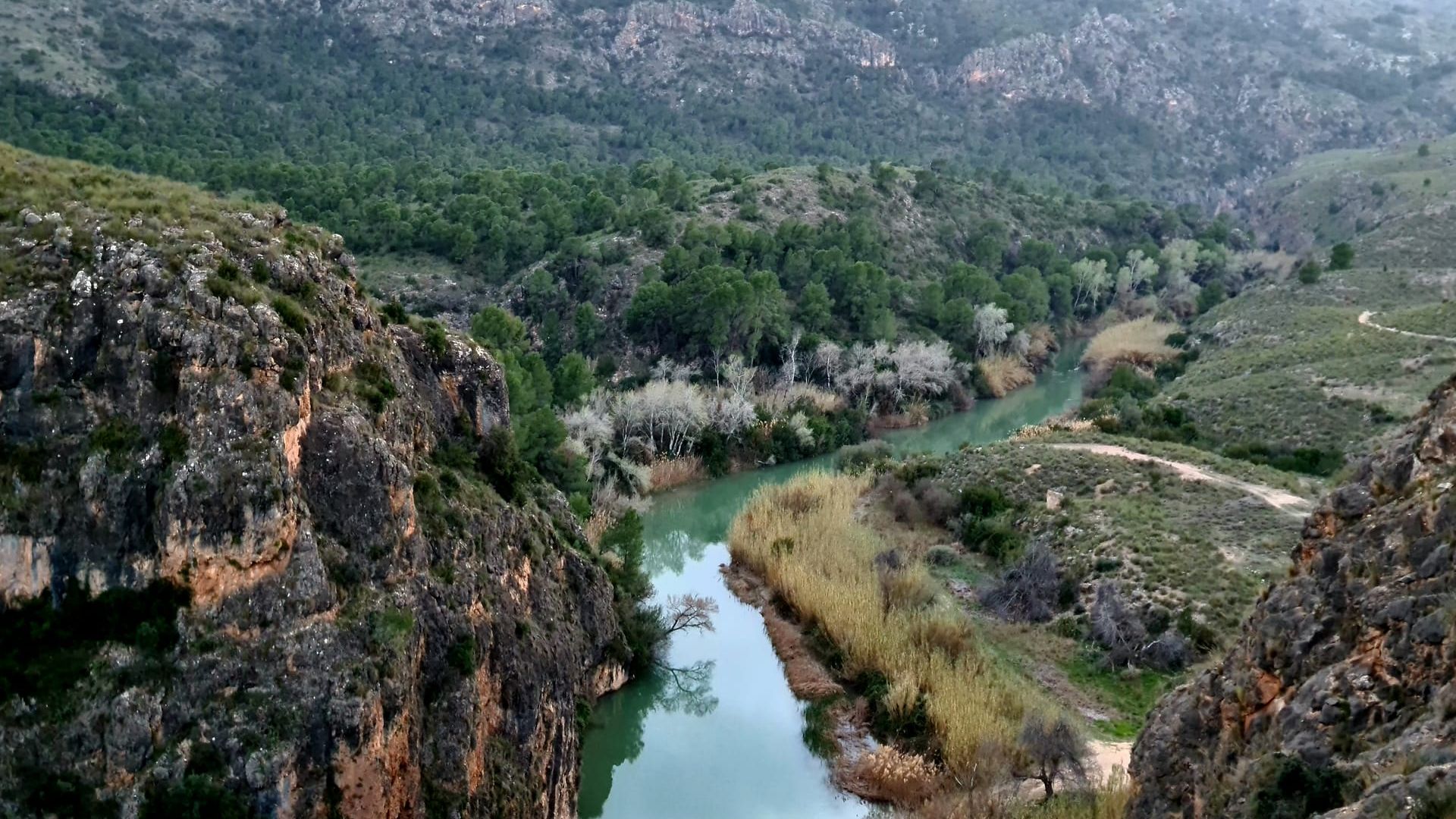 Сади Мулата