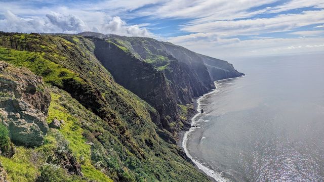 Fio Viewpoint