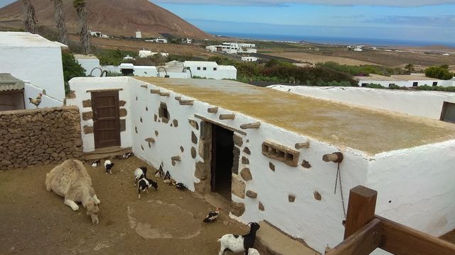 El Patio Agricultural Museum