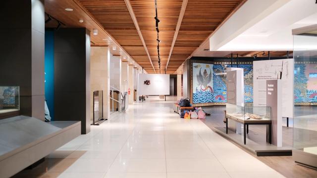 The Icelandic Phallological Museum