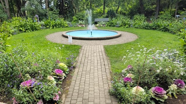 Akureyri Botanical Garden