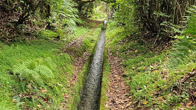 Levada da Portela