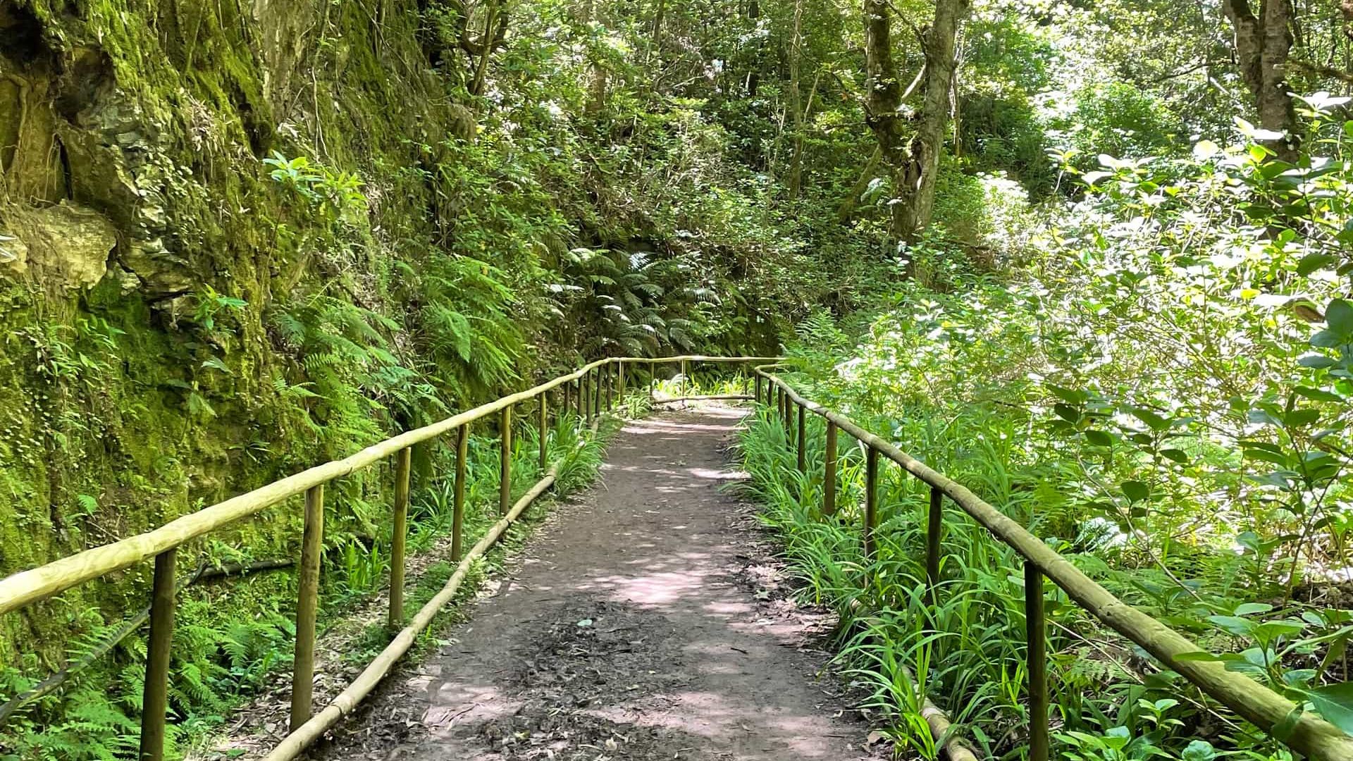 «Путь для всех» – доступный маршрут