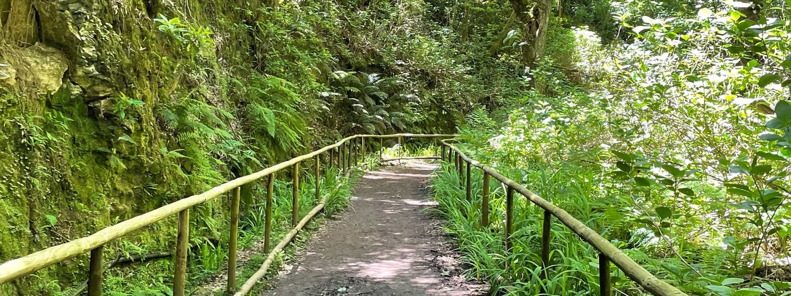 A Path for Everyone – Accessible Trail
