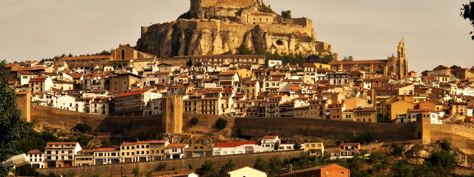 Morella