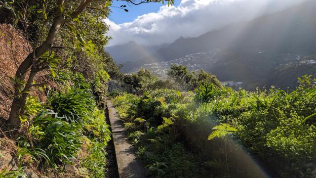 Levada dos Cardais