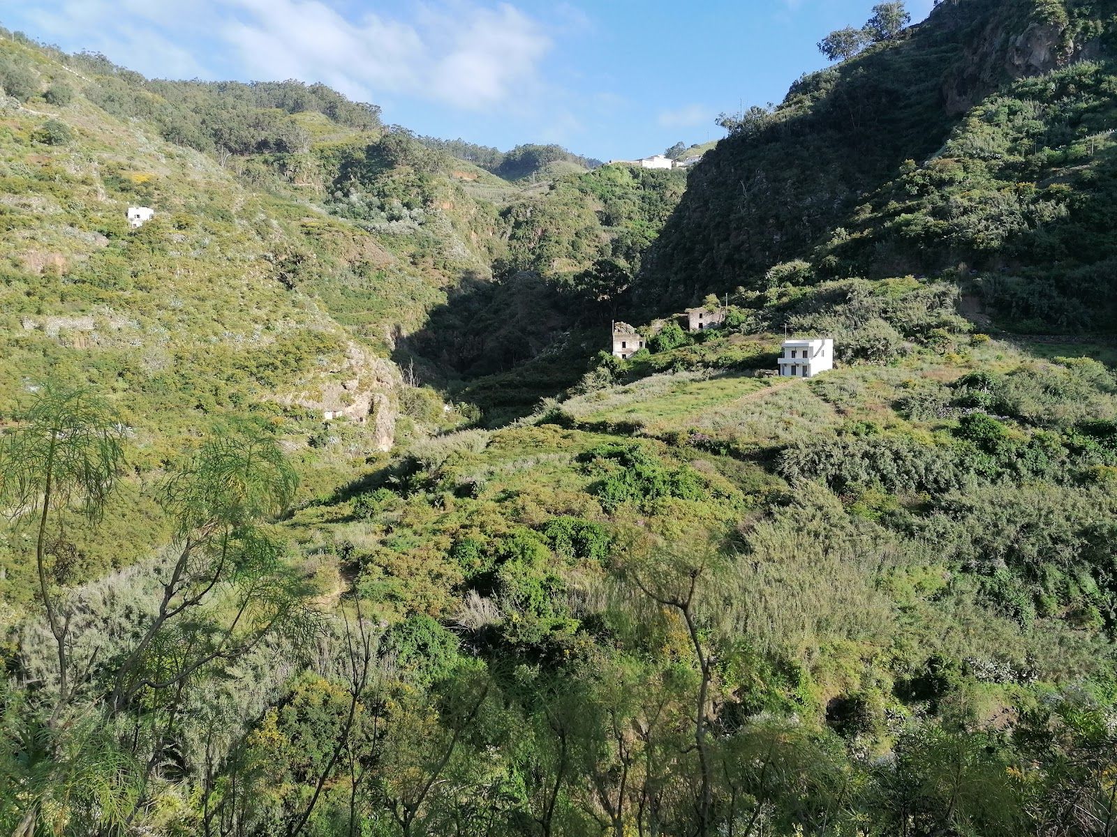 Azuaje Ravine