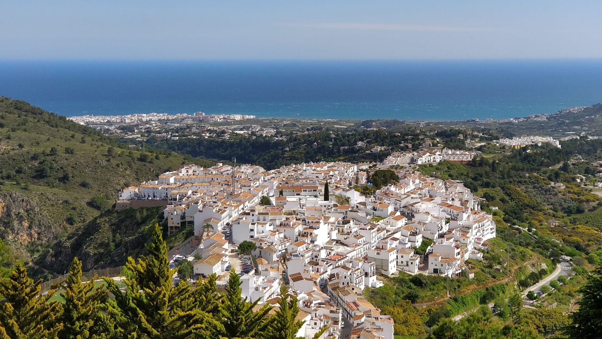 Фрихилиана