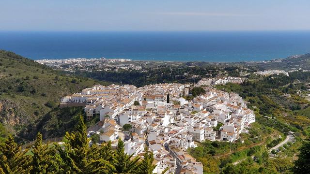 Фрихилиана