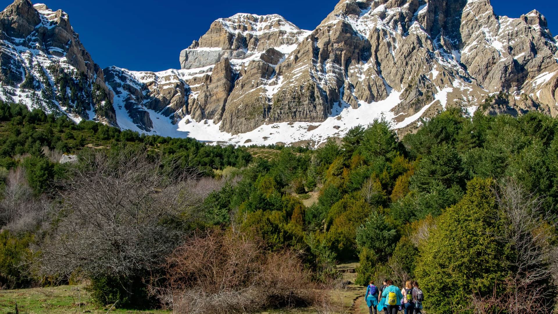 Пенья Телера