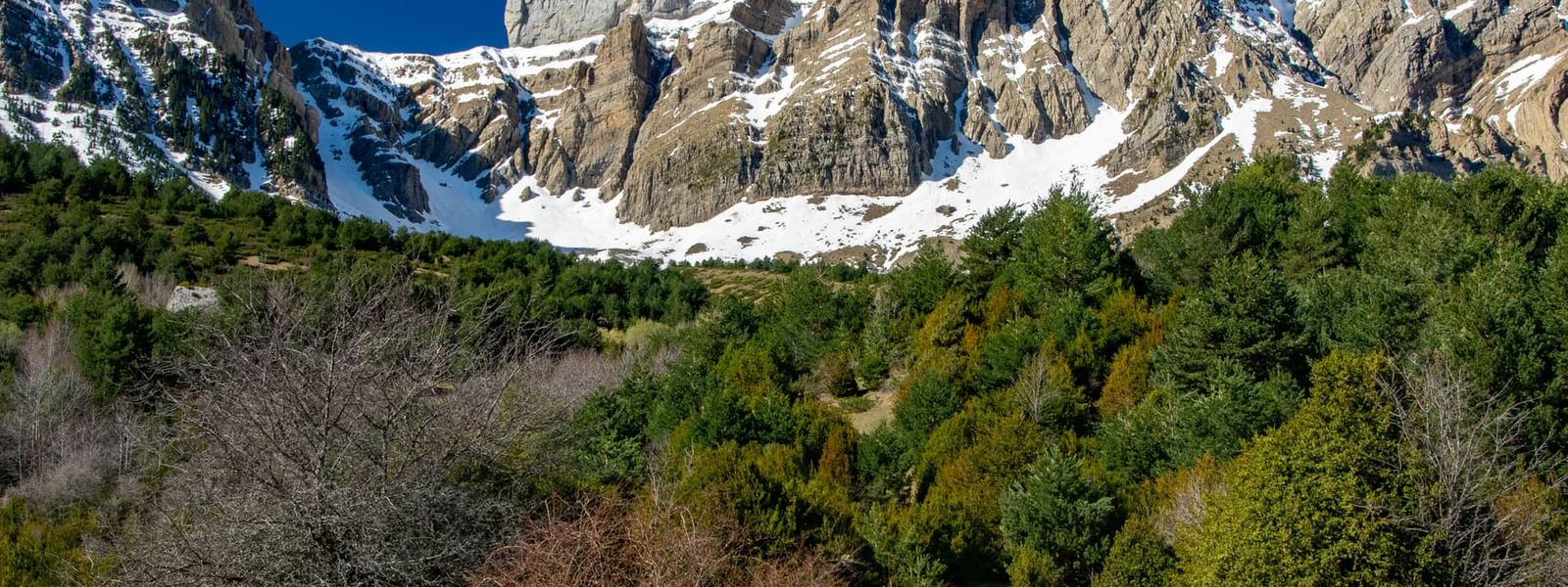 Pena Telera