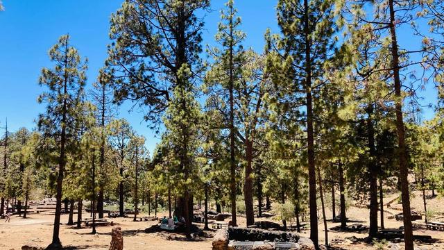 Рекреаційна зона Лас‑Лахас