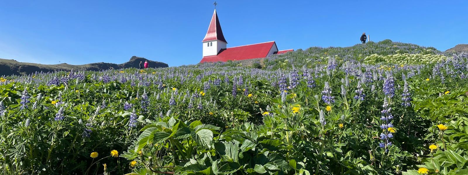 Vik i Myrdal Church
