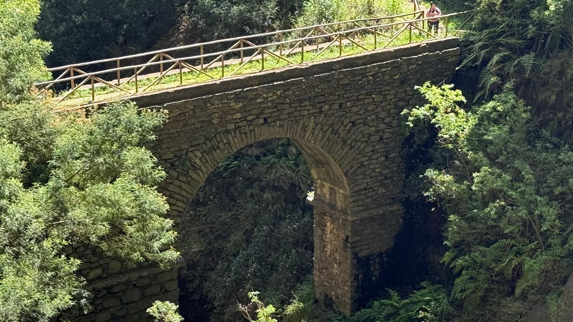 Міст Понте-ду-Пісан