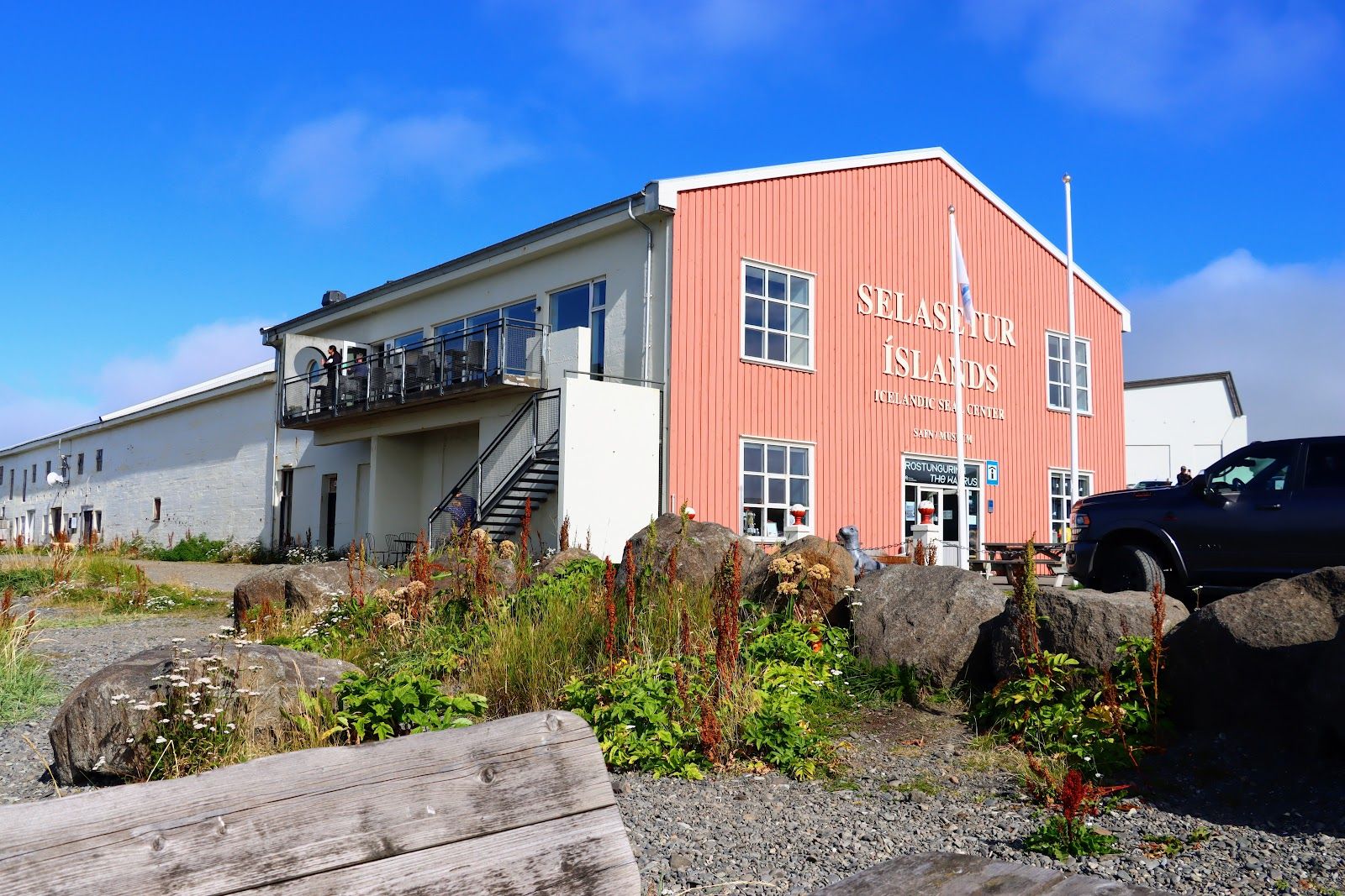 Icelandic Seal Center
