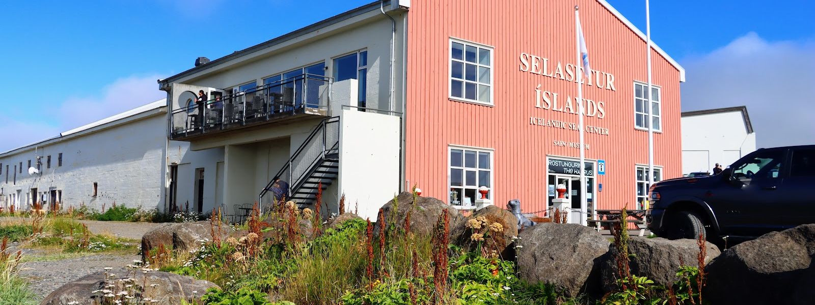 Icelandic Seal Center
