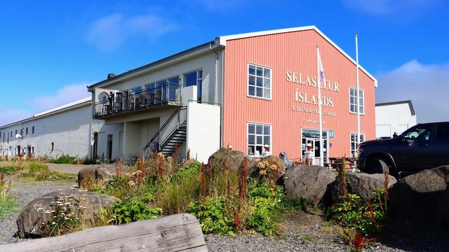 Icelandic Seal Center