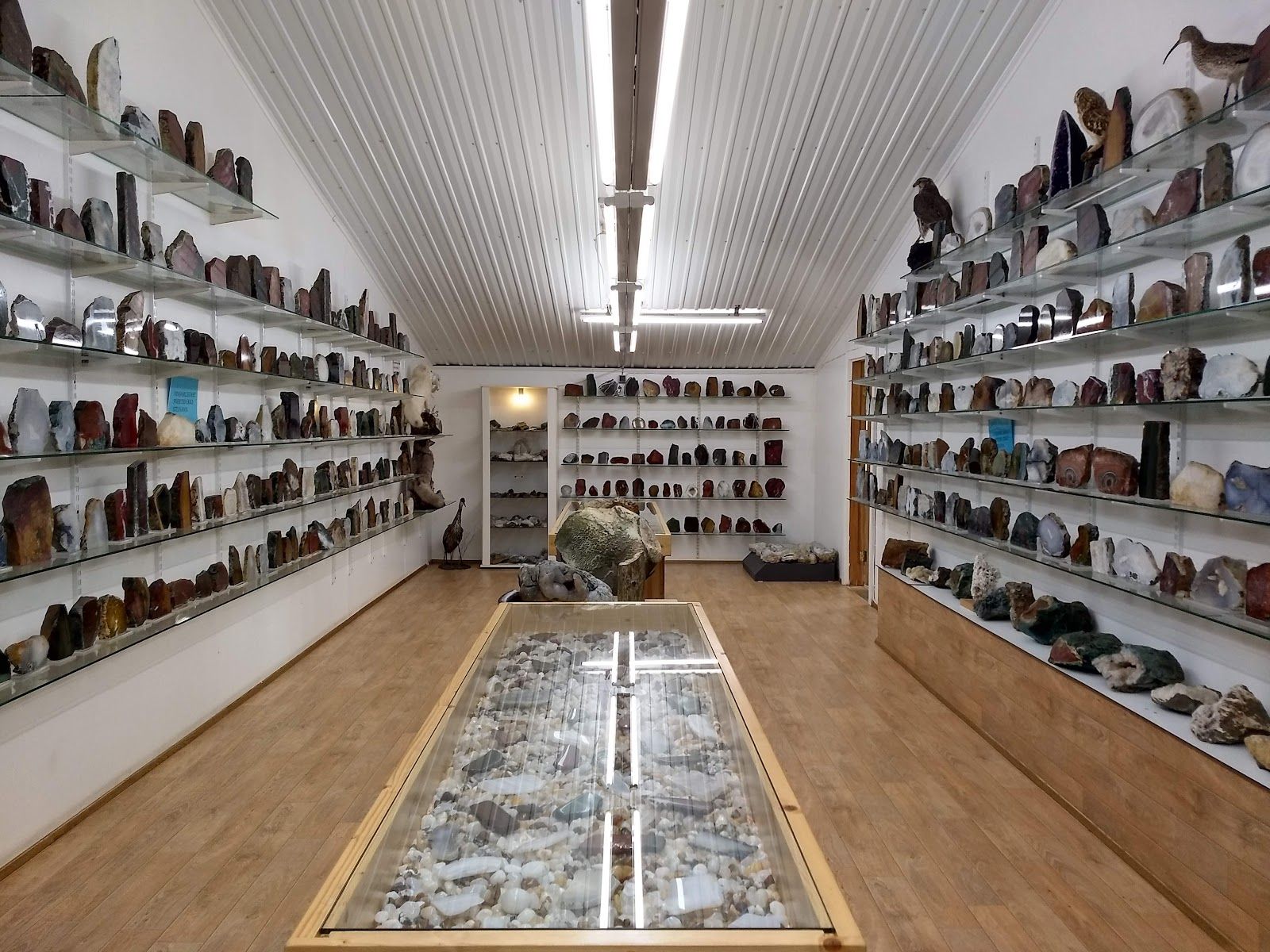 Auðunn's Stone & Mineral Collection