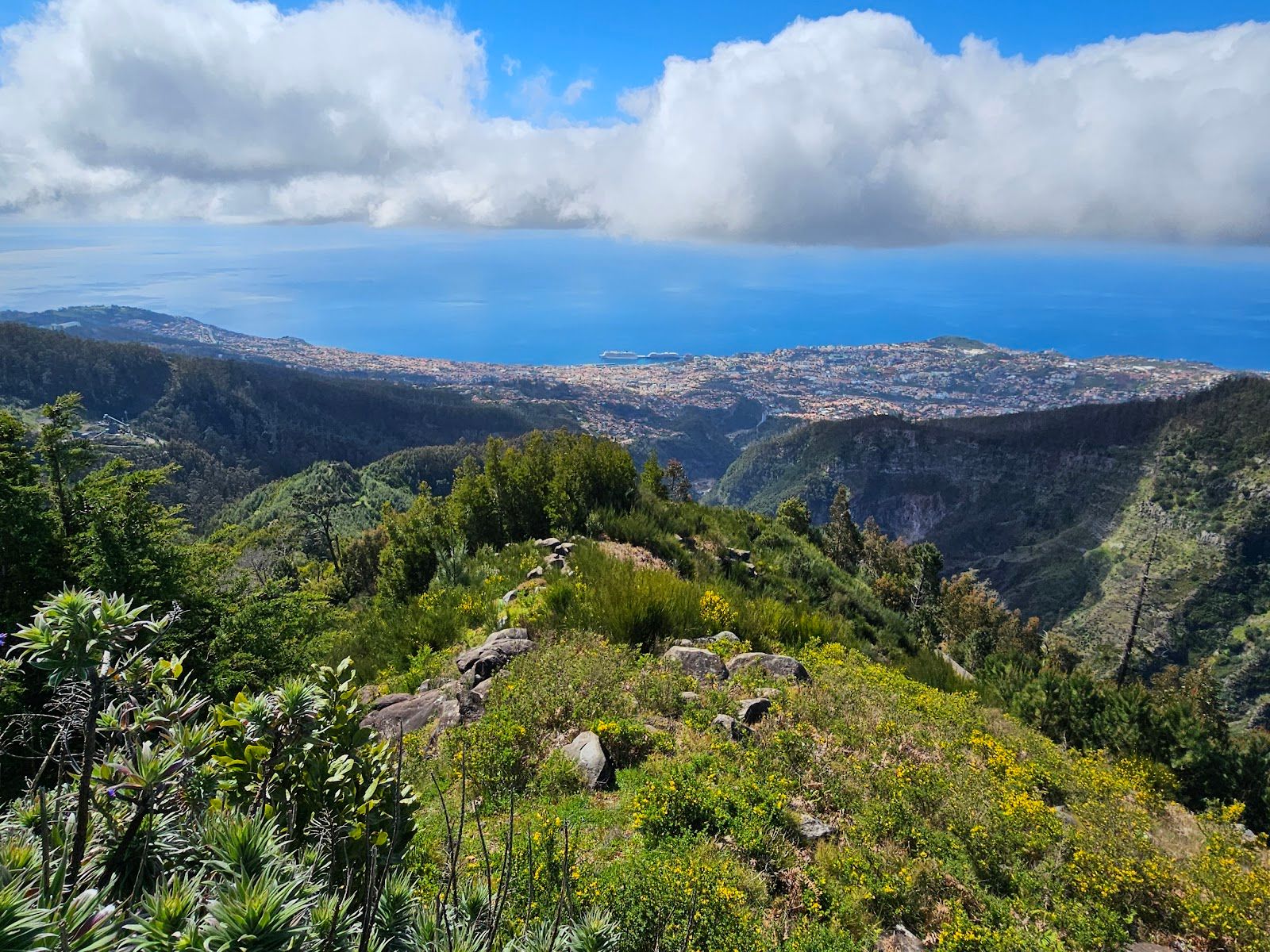 Funchal Ecological Park