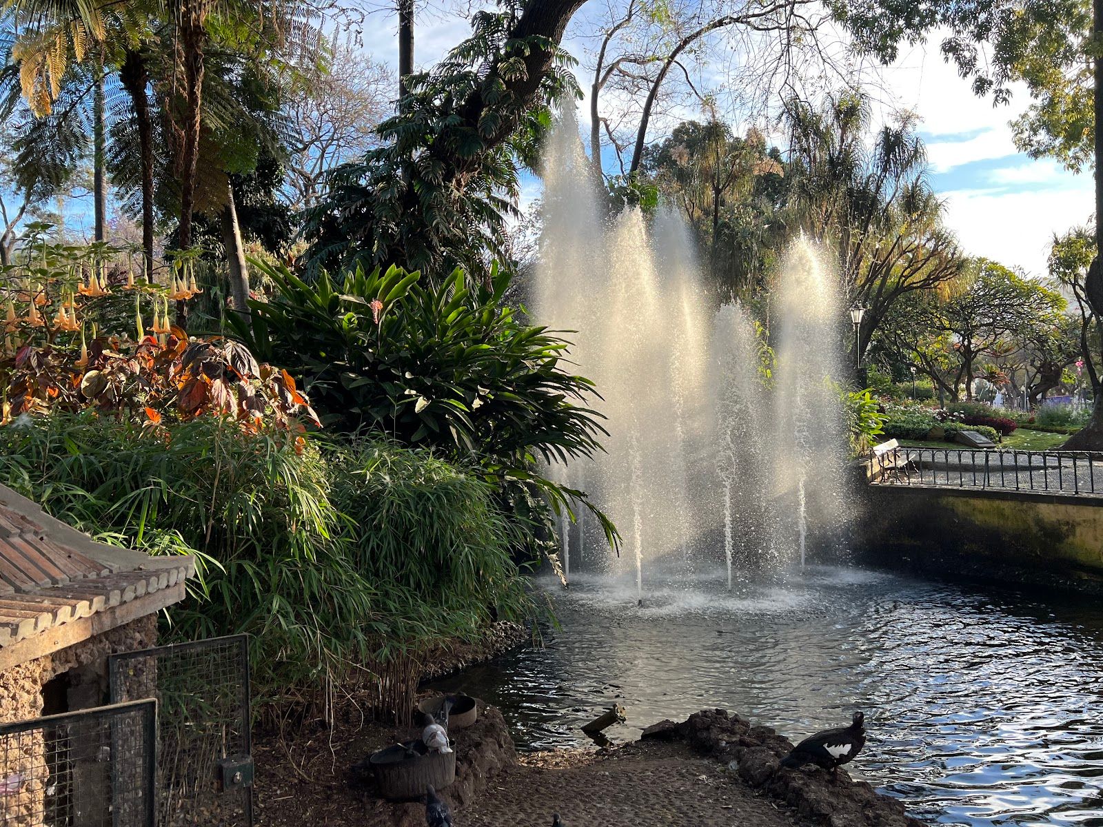 Jardim Municipal do Funchal