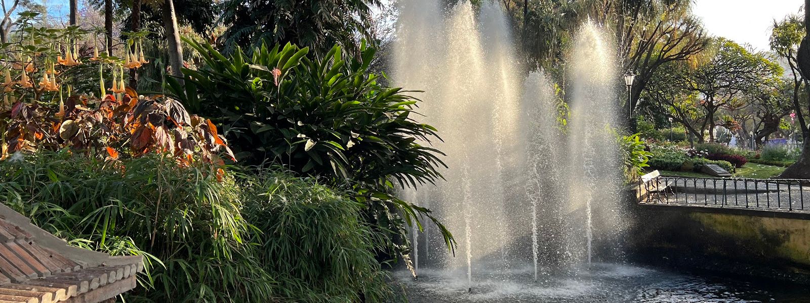 Jardim Municipal do Funchal