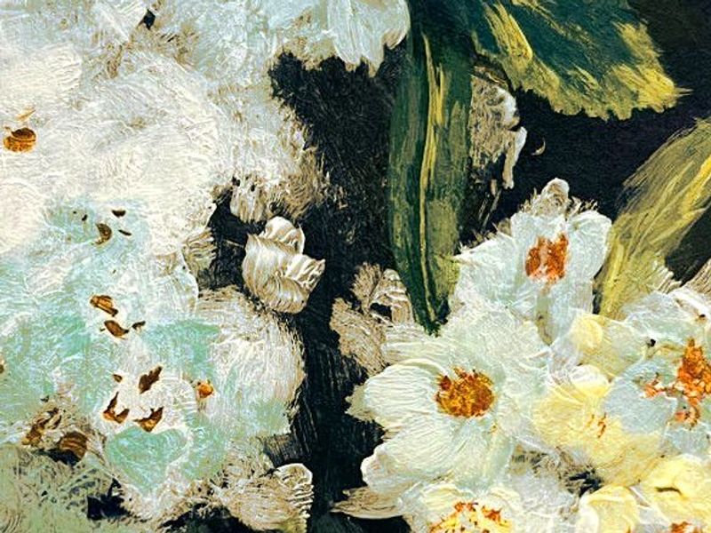 White Daisies in Bloom - Free Wallpaper