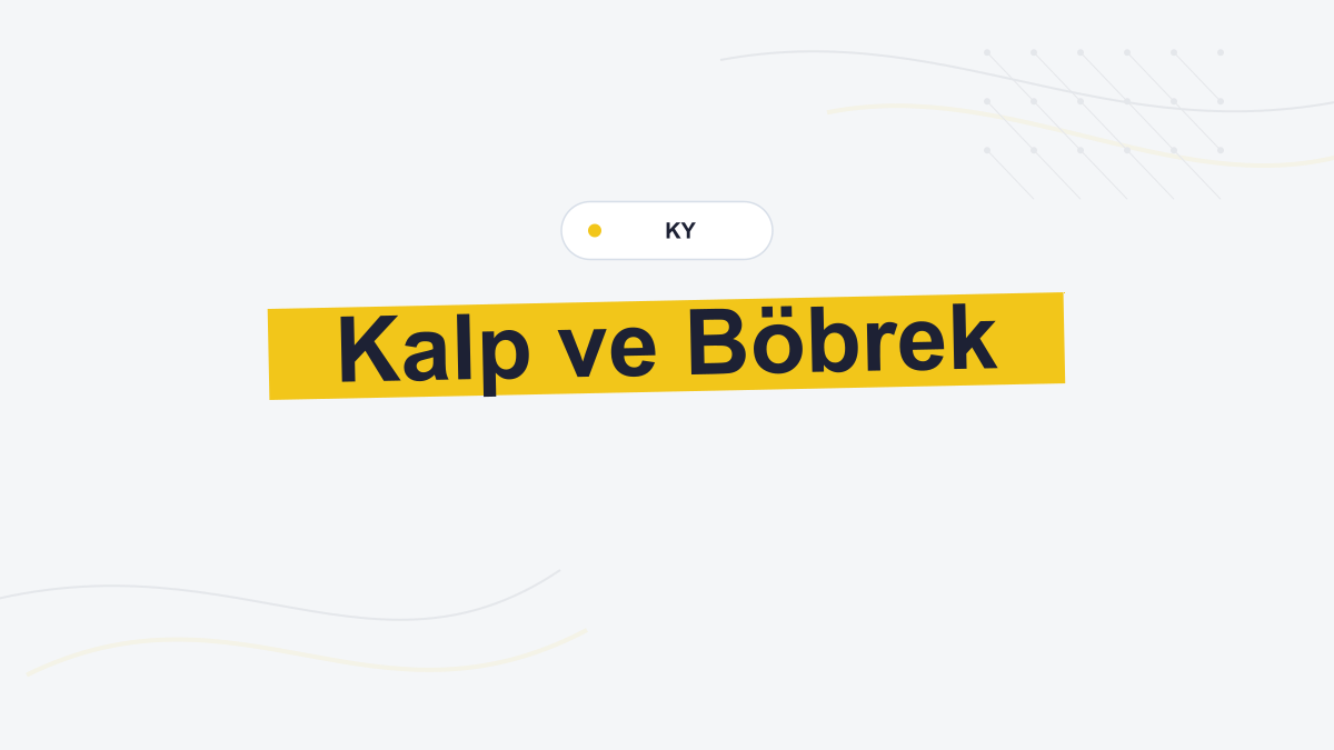 ESC 2026: Kardiyovasküler Hastalıkta Böbrek Taramasına İdrar Albümini de Eklenmeli
