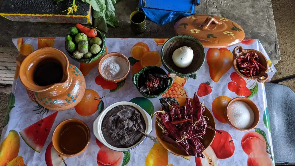 Cooking in the Campo: Learn to make tamales, tortillas and salsas!