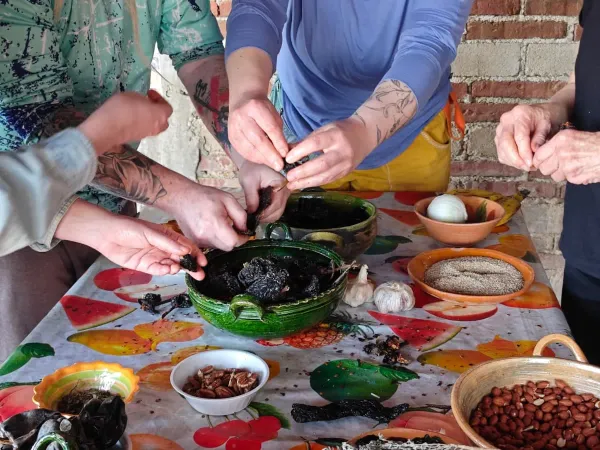 Cooking in the Campo: Learn to make tortillas and salsas!