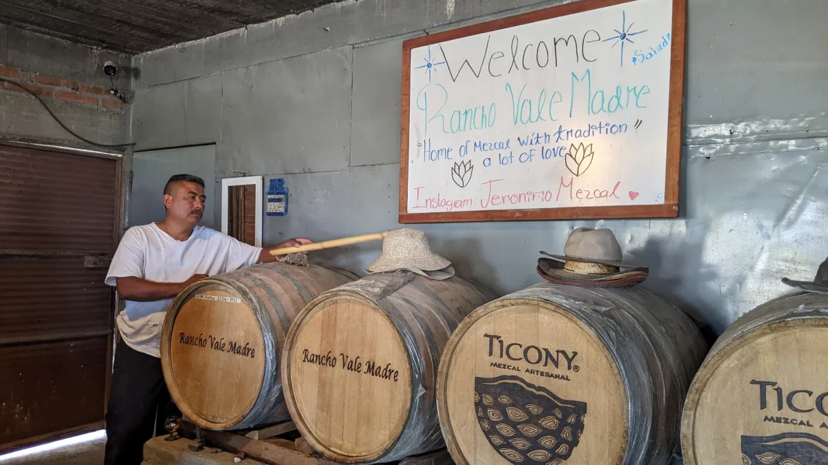 Mezcal Immersion: Yagul Valley