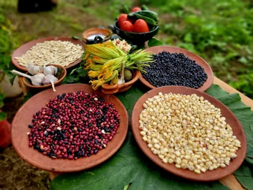 Cooking in the Campo: Learn to make tortillas and salsas!