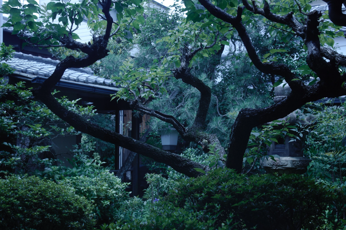 Kyoto garden